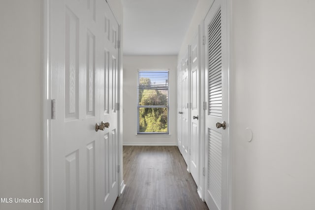 hallway featuring dark hardwood / wood-style flooring