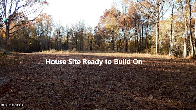 Listing photo 3 for 4631 Bluff Rd, Hernando MS 38632