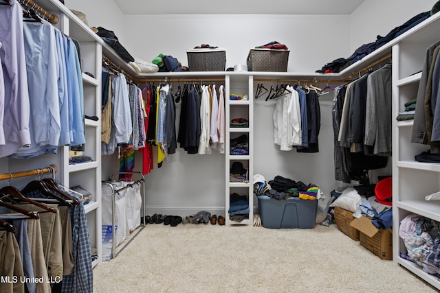 spacious closet with carpet