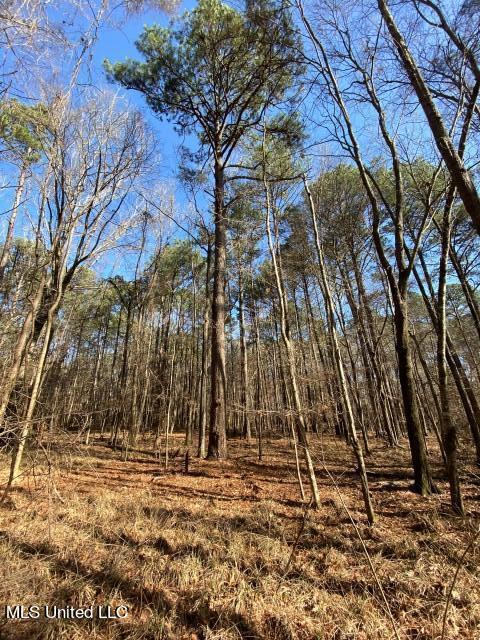 Florence Dr, Florence, MS 39073
