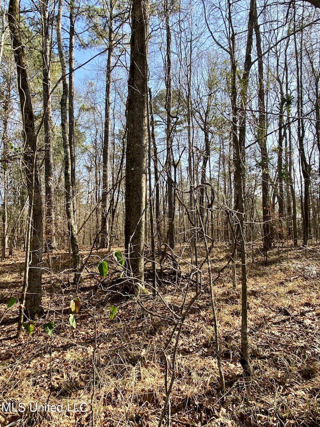 Florence Dr, Florence, MS 39073