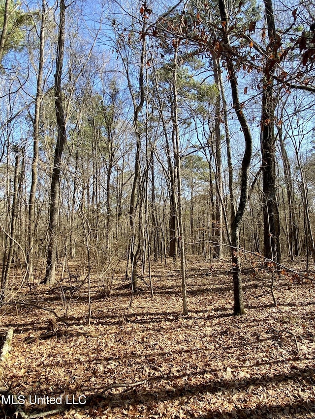 Florence Dr, Florence, MS 39073