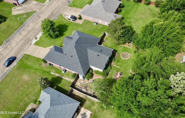 bird's eye view