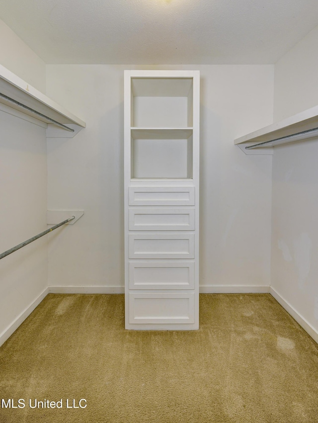 3099 E Fairway Dr, Brandon, MS 39047 - walk in closet with carpet flooring
