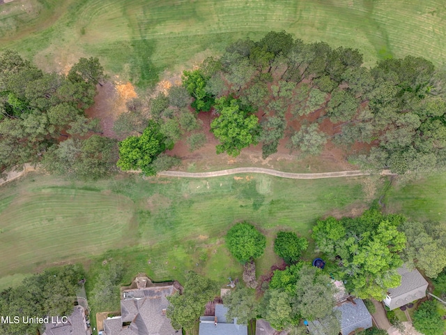 3099 E Fairway Dr, Brandon, MS 39047 - aerial view of property's location