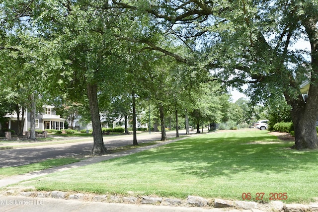 101 E E President, Greenwood, MS 38930 - view of property's community featuring a yard