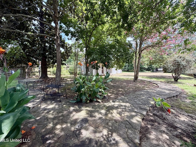 101 E E President, Greenwood, MS 38930 - view of yard