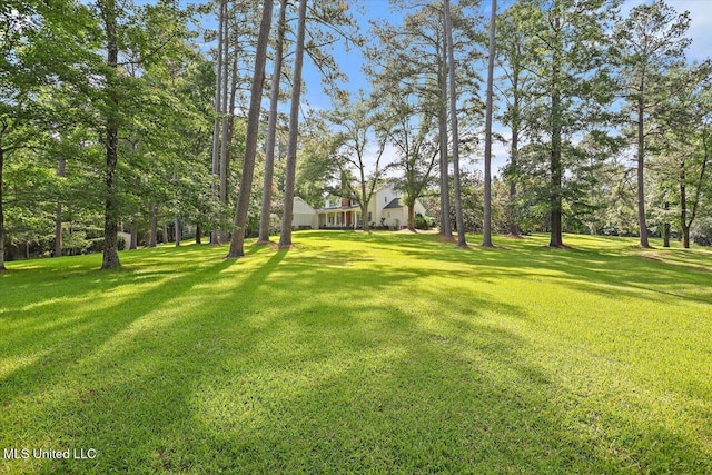 350 Whitfield Rd, Brandon, MS 39042 - view of grassy yard