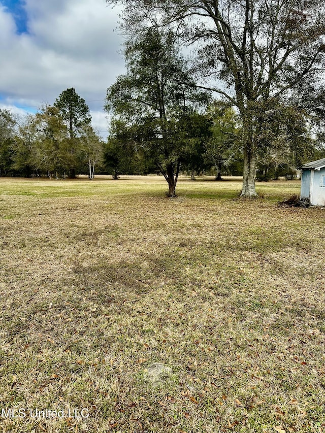 view of yard