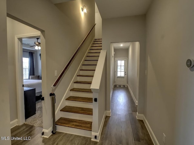 stairs with ceiling fan, plenty of natural light, and hardwood / wood-style flooring