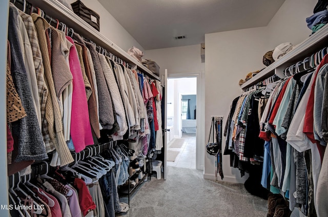 236 Cooper Ln, Canton, MS 39046 - spacious closet with visible vents and carpet floors