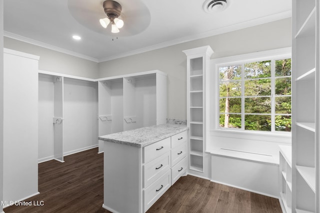 112 Louis Wilson Dr, Brandon, MS 39042 - spacious closet with ceiling fan and dark wood finished floors