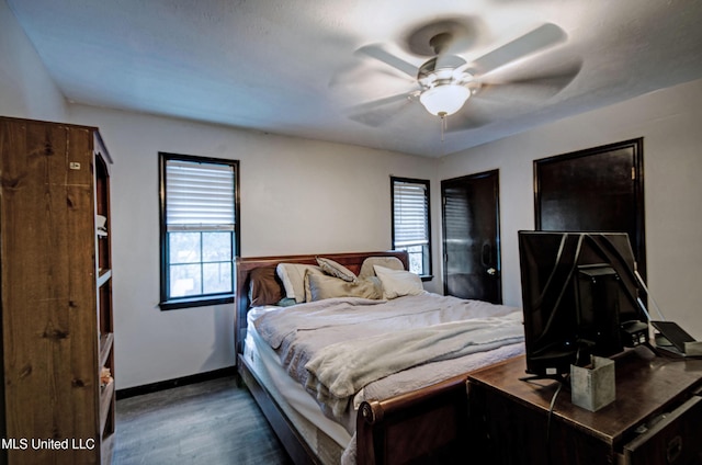 100 Eager St Unit C, Clinton, MS 39056 - bedroom with multiple windows, wood finished floors, and ceiling fan