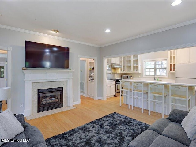 living area featuring ornamental molding, recessed lighting, light wood finished floors, and a high end fireplace