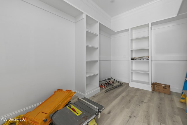 walk in closet with light wood-type flooring