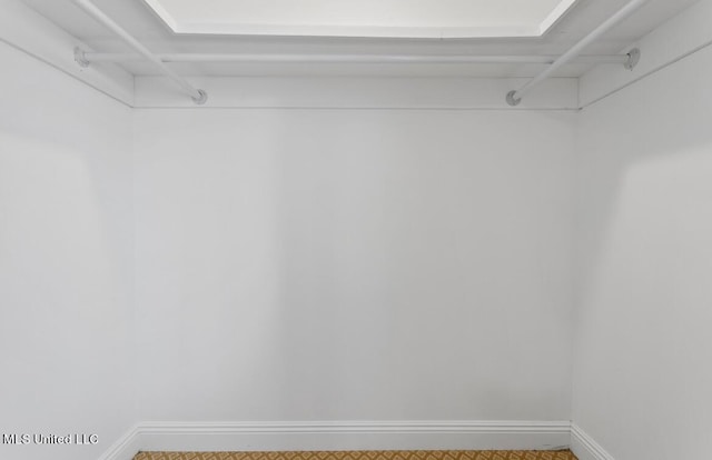 walk in closet with carpet floors