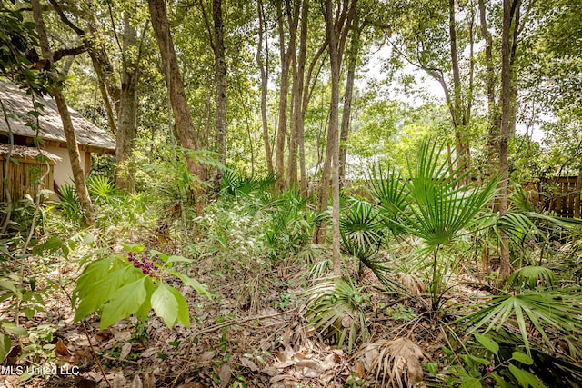 view of local wilderness
