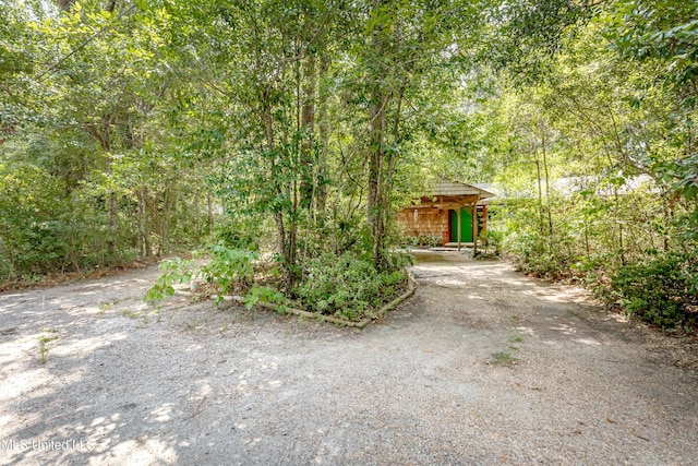 view of yard featuring a wooded view