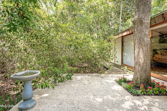 view of yard with a patio area