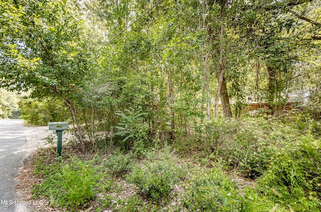 view of local wilderness featuring a wooded view