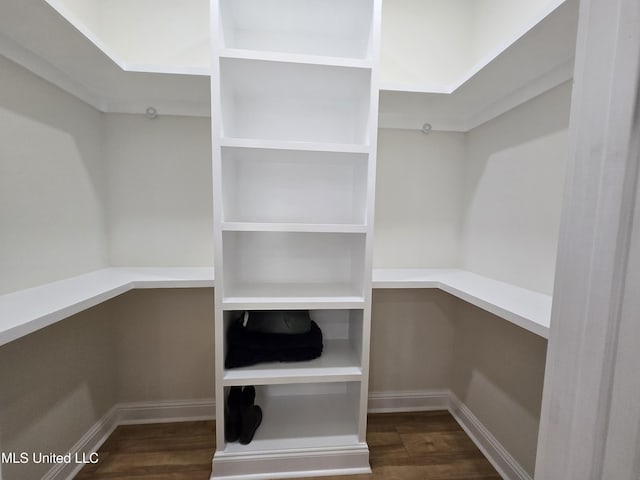 spacious closet with wood finished floors