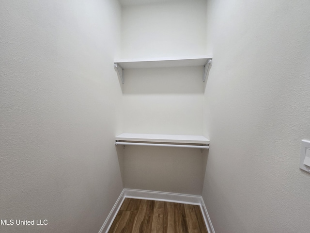 spacious closet featuring dark wood-style flooring