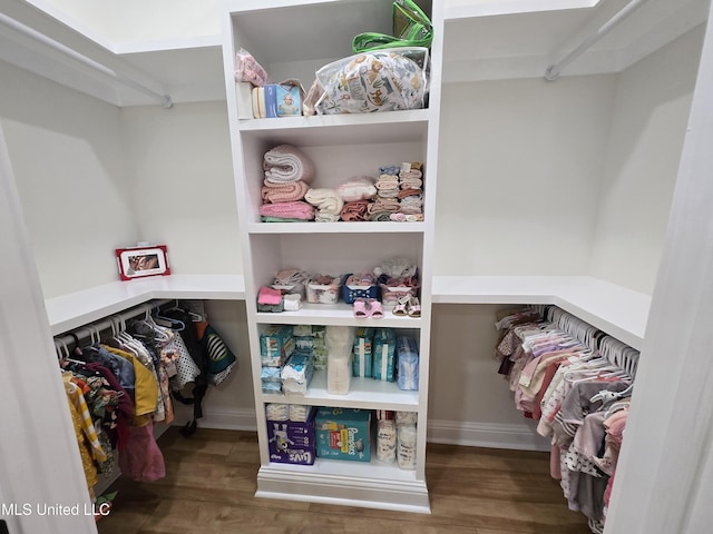 spacious closet featuring wood finished floors
