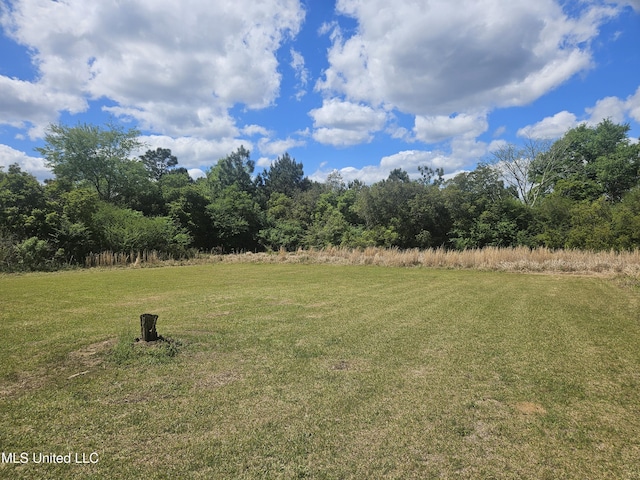 view of grassy yard
