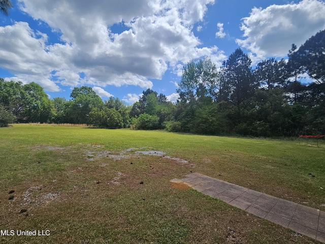 view of green lawn