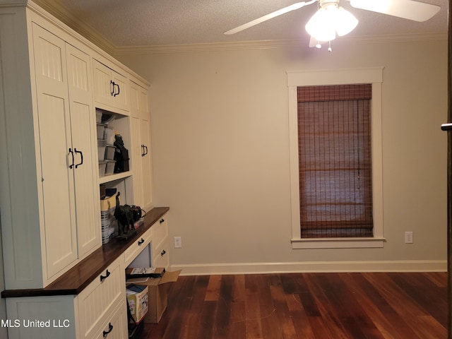 mudroom featuring ceiling fan, dark wood-type flooring, ornamental molding, and a textured ceiling