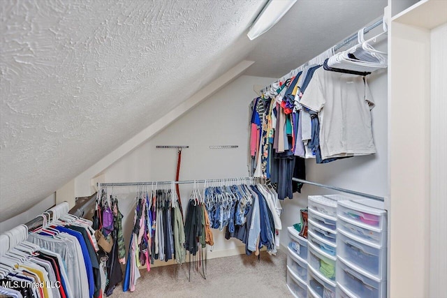 walk in closet featuring carpet