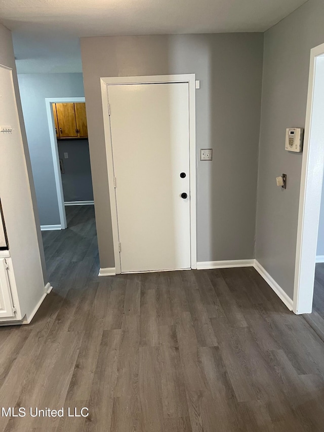 entrance foyer featuring wood-type flooring