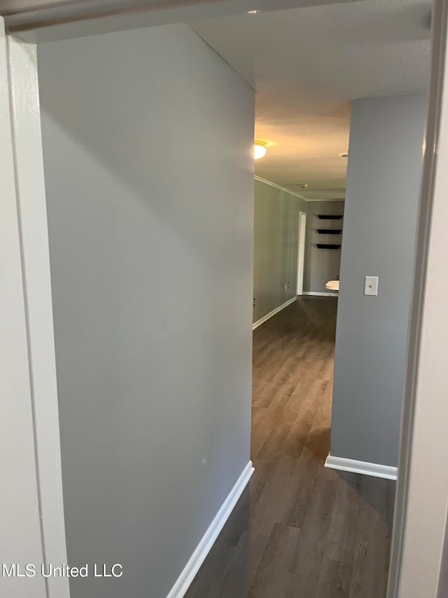 hallway featuring dark hardwood / wood-style flooring