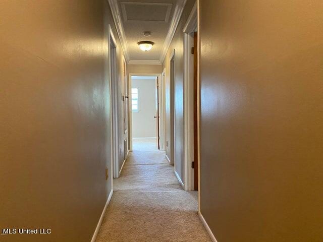 hall featuring ornamental molding and light colored carpet