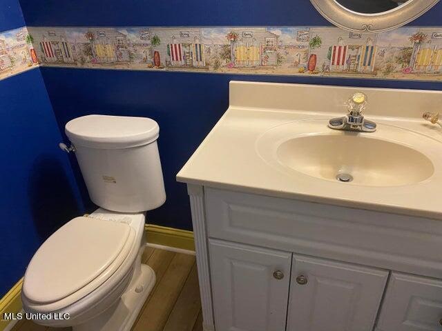 bathroom with vanity, hardwood / wood-style flooring, and toilet