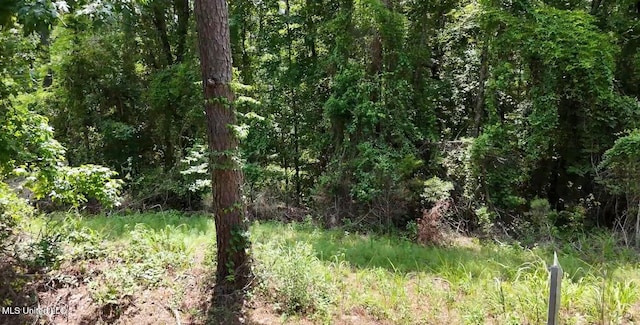 170 Flowers Rd, Kilmichael, MS 39747
