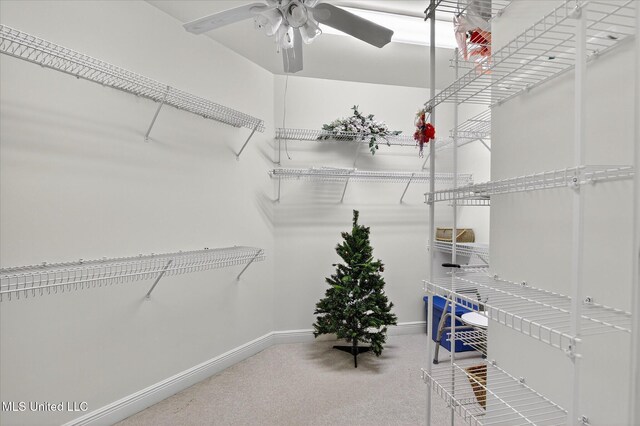7622 Fairway Dr, Diamondhead, MS 39525 - spacious closet with carpet floors and a ceiling fan