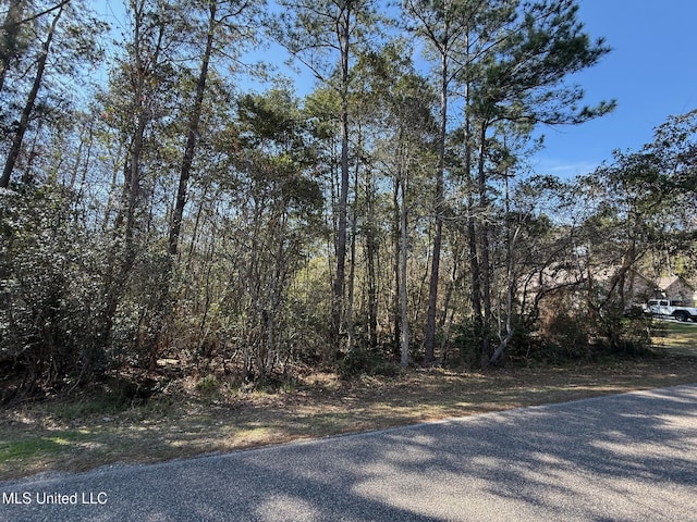 94179 Bayou Dr, Diamondhead MS, 39525 land for sale