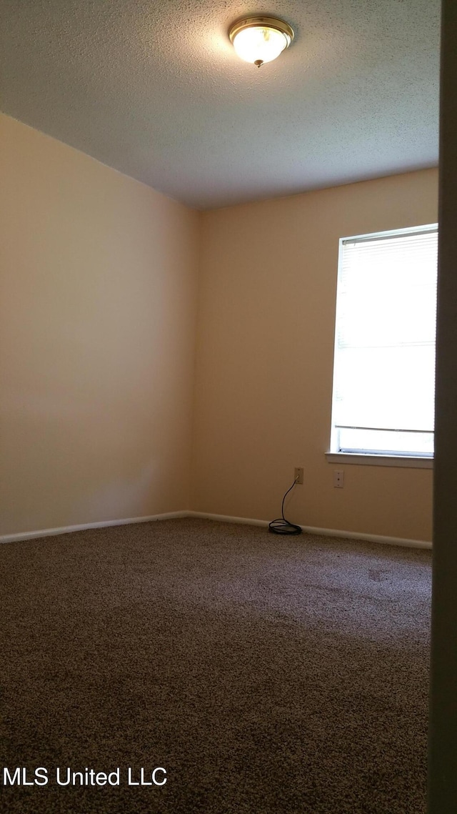 empty room featuring carpet floors and a textured ceiling