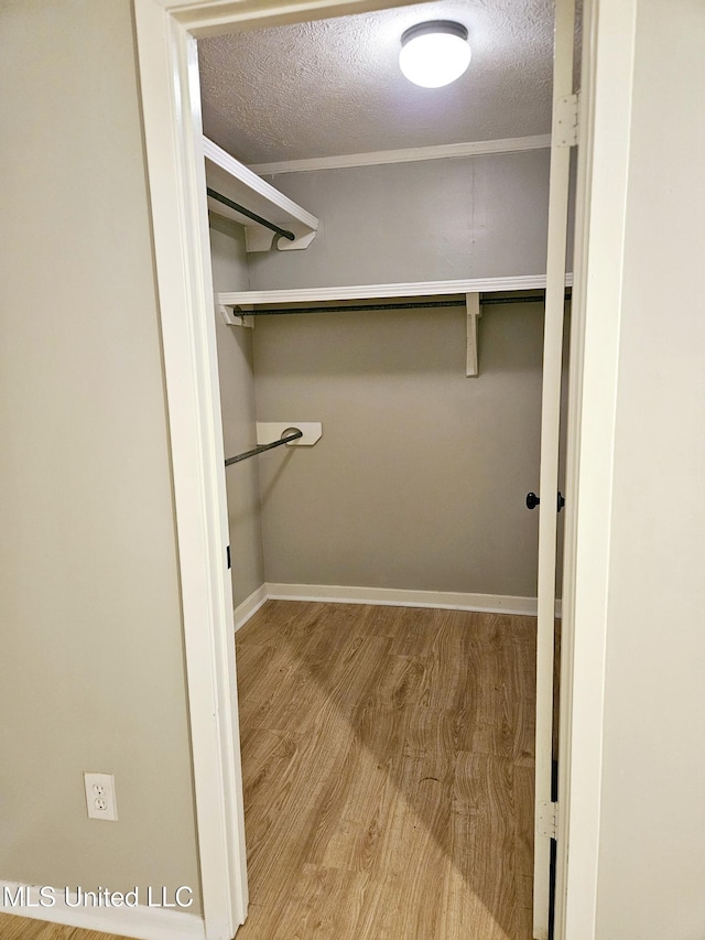 spacious closet featuring wood finished floors