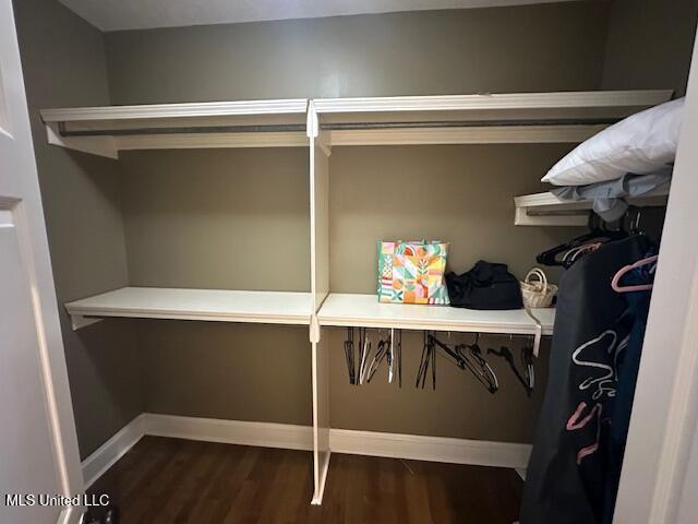 117 Peninsula Dr, Brandon, MS 39047 - view of closet
