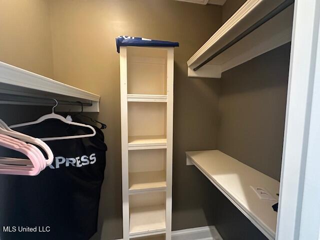 117 Peninsula Dr, Brandon, MS 39047 - view of spacious closet