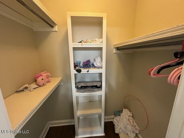 117 Peninsula Dr, Brandon, MS 39047 - spacious closet featuring dark wood-type flooring