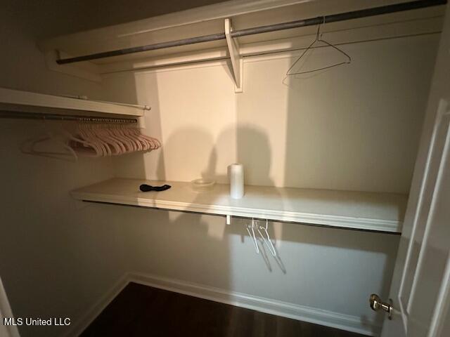 117 Peninsula Dr, Brandon, MS 39047 - view of walk in closet