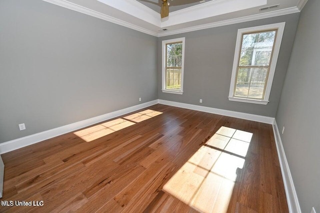 empty room with a tray ceiling, crown molding, and a healthy amount of sunlight