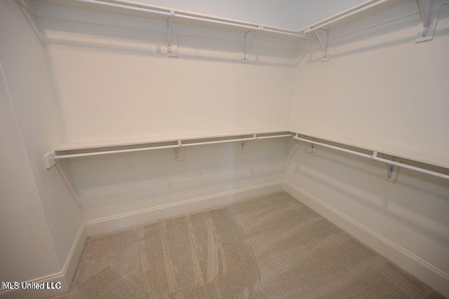 walk in closet with light colored carpet