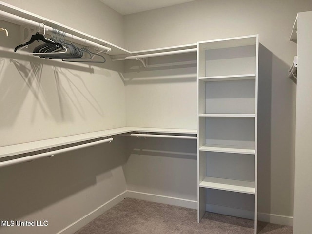 7228 Edgewater Dr, Olive Branch, MS 38654 - spacious closet featuring carpet flooring
