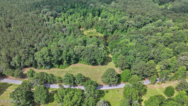 182 Brandon Williamsburg Rd, Mendenhall, MS 39114 - view of property location featuring a forest