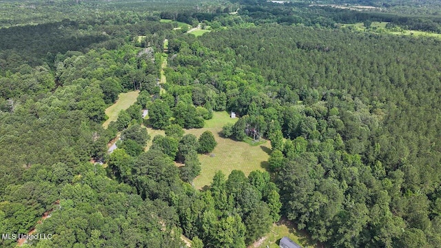 182 Brandon Williamsburg Rd, Mendenhall, MS 39114 - view of property location featuring a heavily wooded area