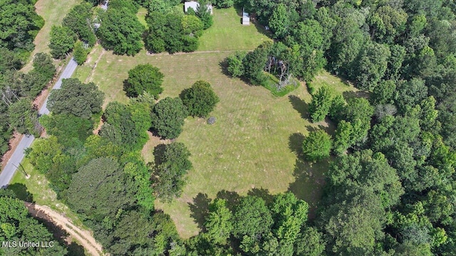 182 Brandon Williamsburg Rd, Mendenhall, MS 39114 - aerial overview of property's location